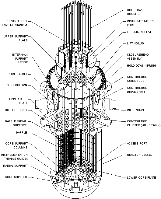 Diagram of a PWR reactor pressure vessel.